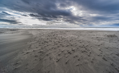 風が記憶したもの