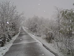 雪景色