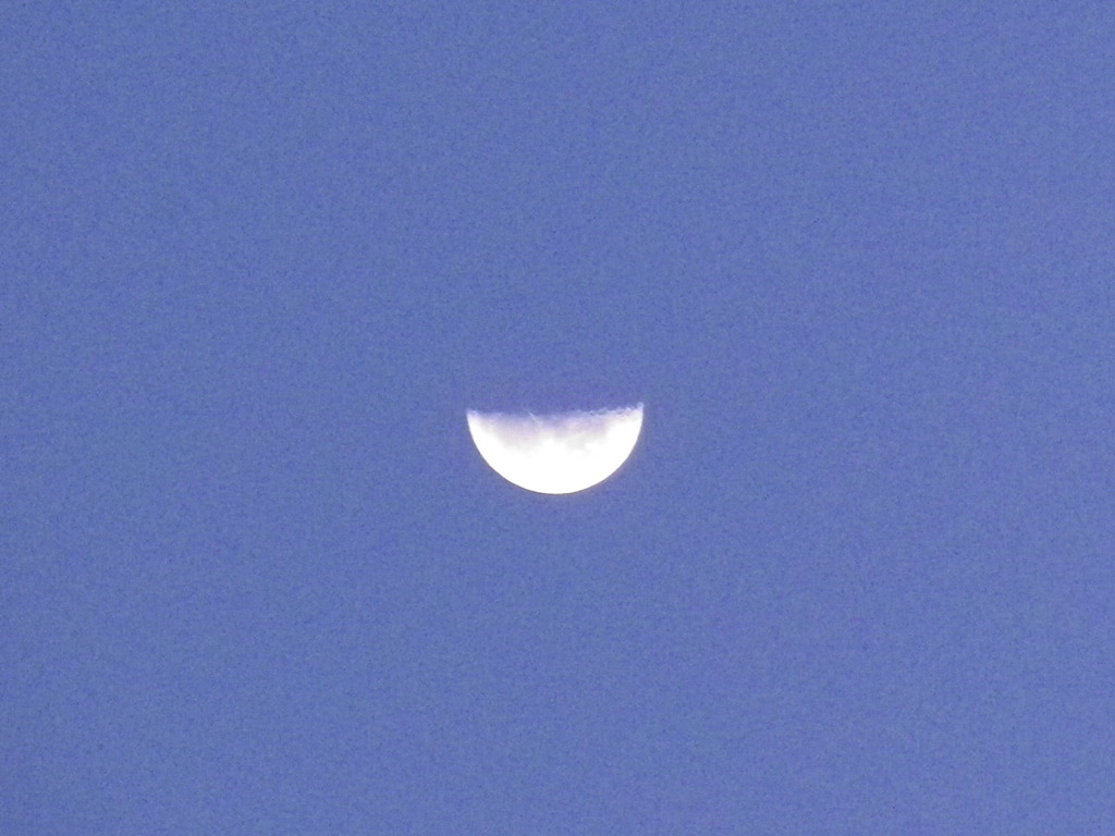 早朝の三日月