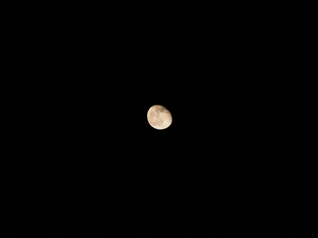 ある夜の満月