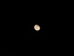 ある夜の満月