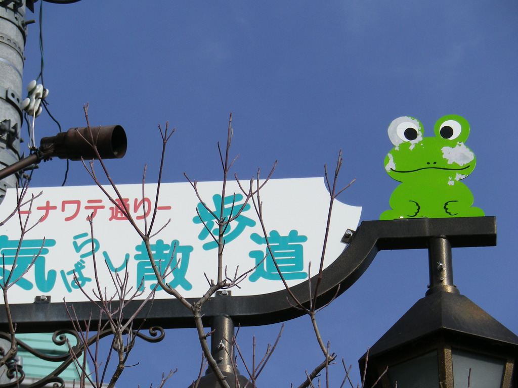 カエル