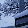 雪の朝