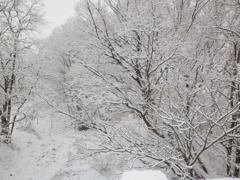 雪の朝