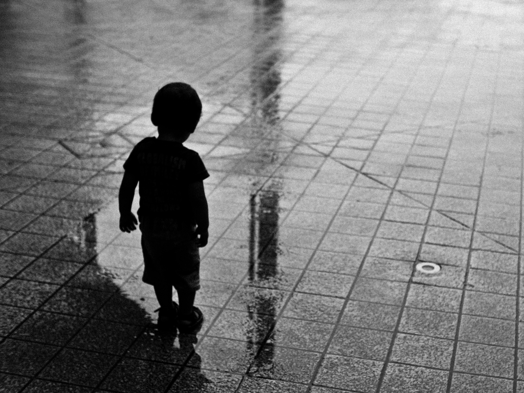 雨