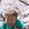 たかいたかい