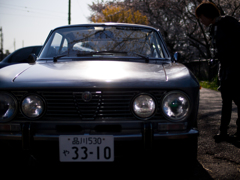 アルファロメオ