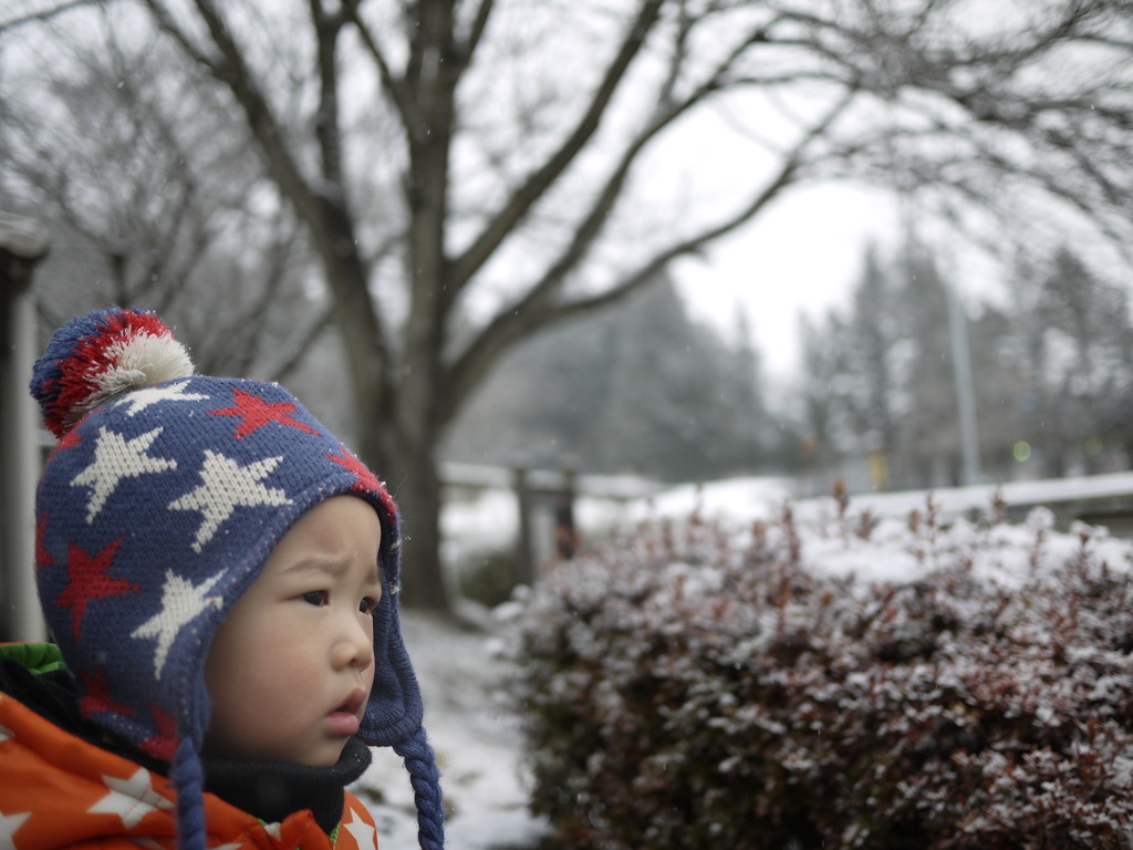 雪が降ってきたな…