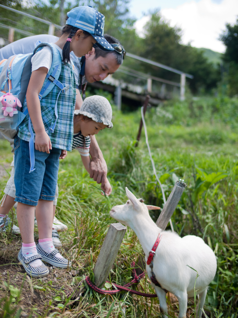 ヤギと姪
