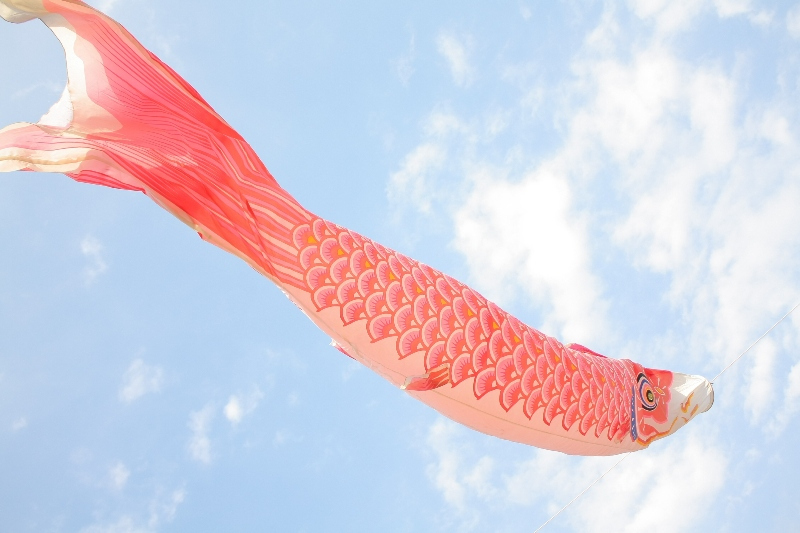 空を泳ぐ