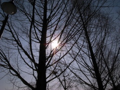 R0010114