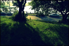夕方の公園③