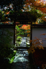 金福寺