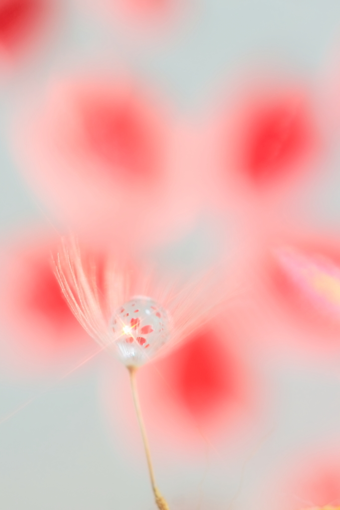 花玉を掴んで