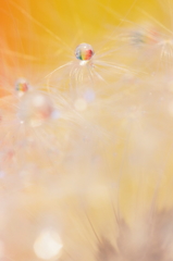 Rain-ball