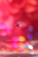 水中花