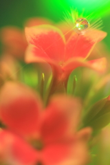 寄り添って。。。