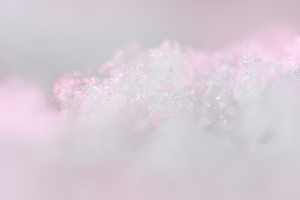pink-snow