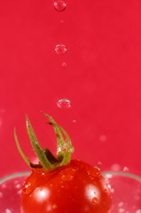 Tomato×Tomato