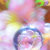 花玉の煌めき☆彡