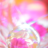 花のビー玉。。。