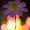 Night show☆