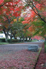 大山参道にて。。。