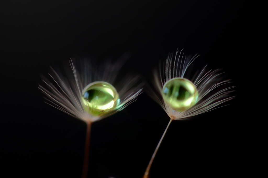 eye　見つめる様に…