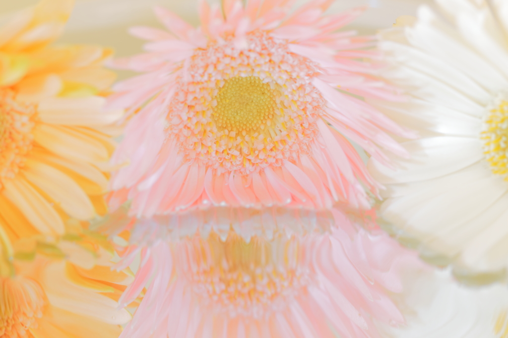 Pastel Flower