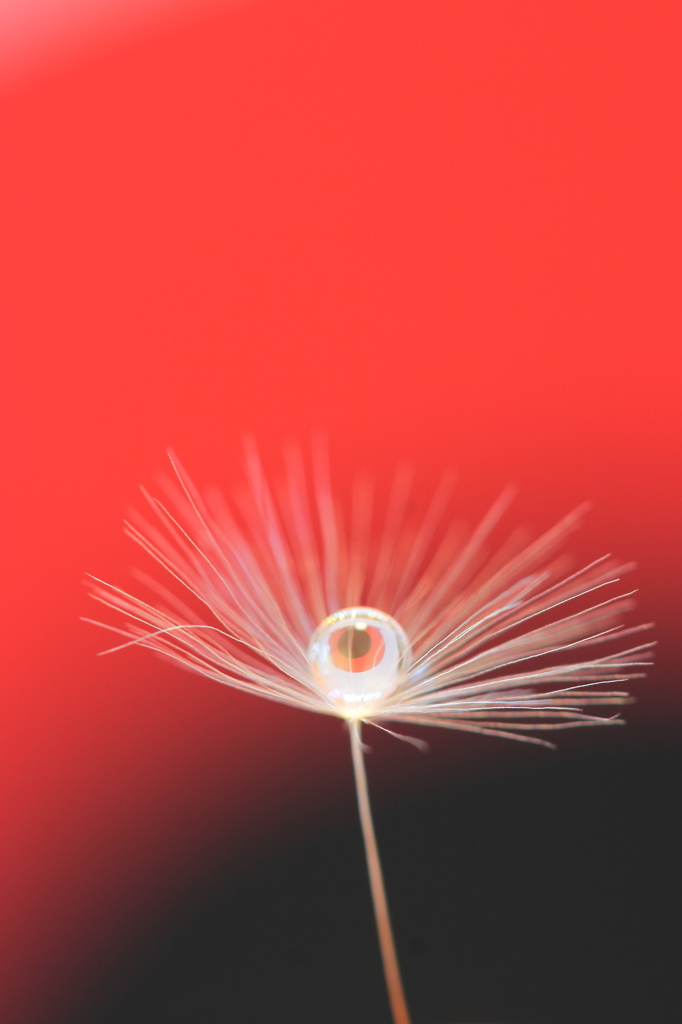 鬼太郎を見守る。。。父の眼差し…