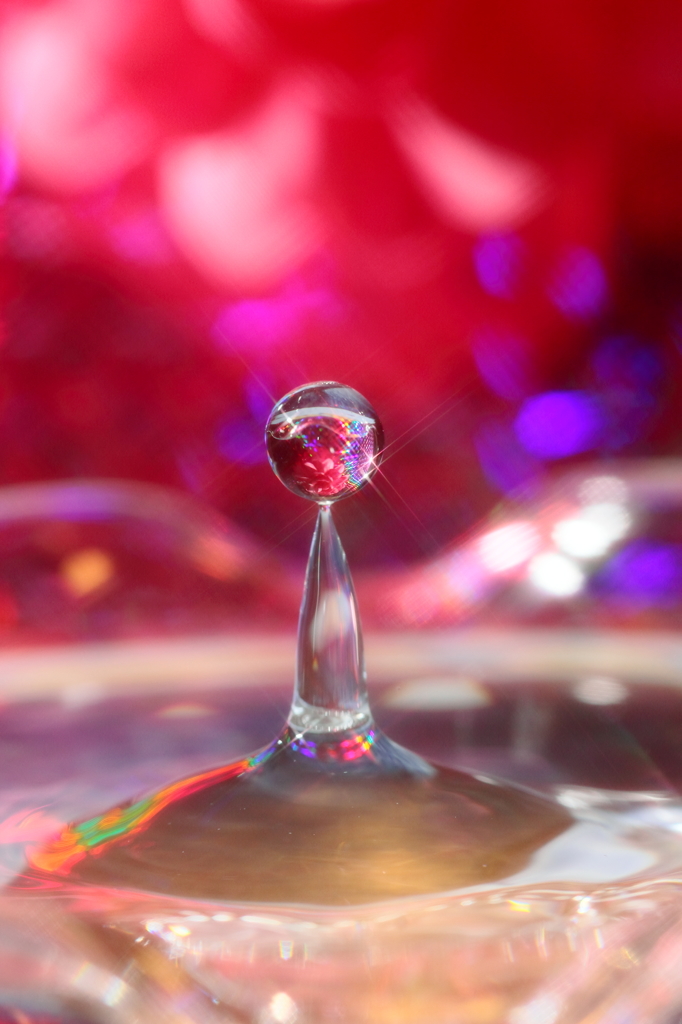 水柱花