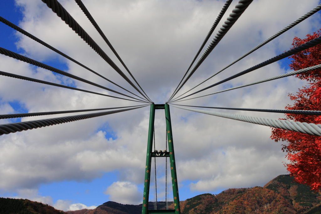 紅葉の谷に架かる橋…