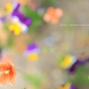 Spring-colored girls　春色の女の子たち…