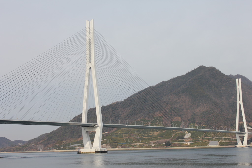 多々羅大橋