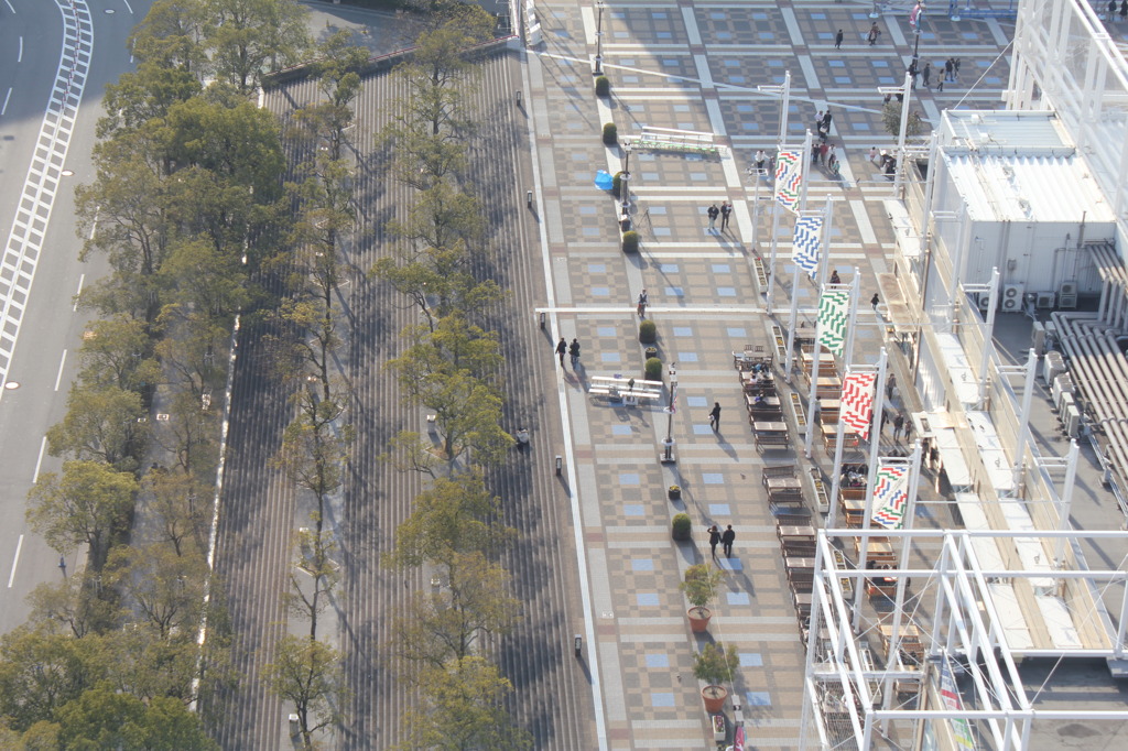 上空から