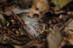 あなたはそこに・・・辿り着いた場所