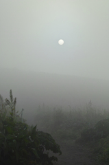 霧中山道