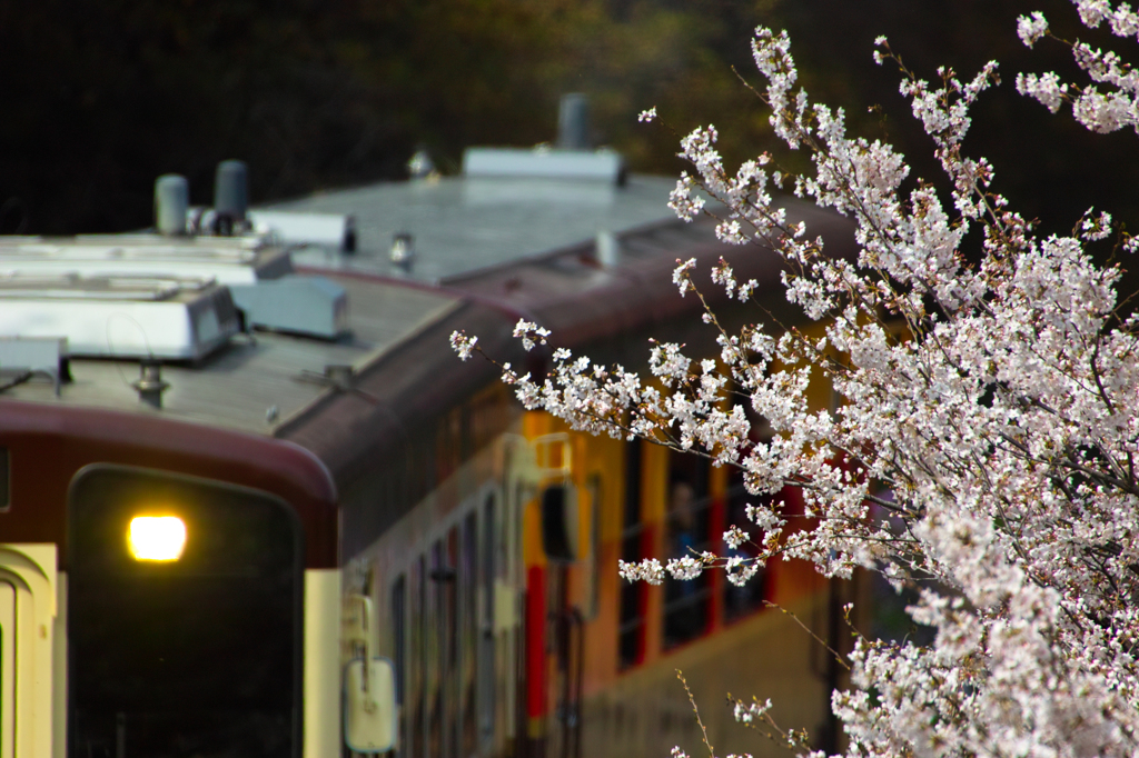 渡良瀬渓谷鉄道