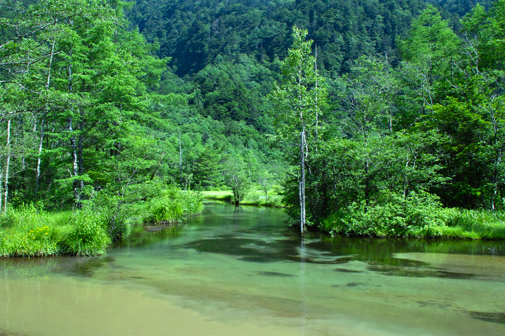 田代池