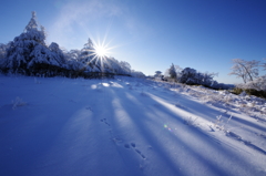 雪原の足跡