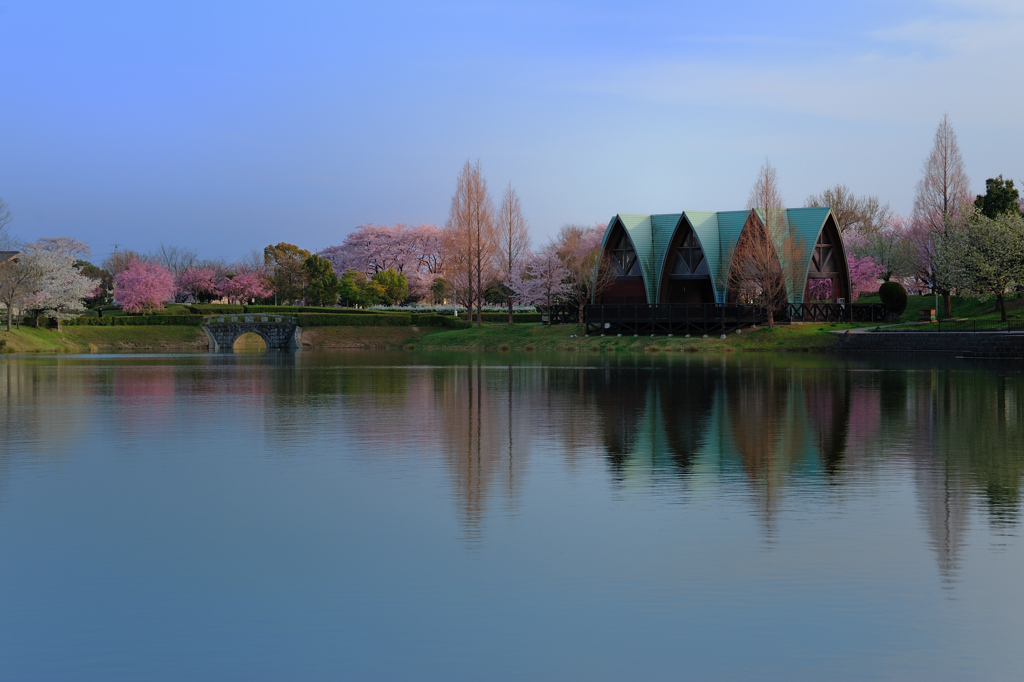 SAKURA Garden