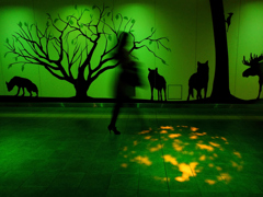 Forest in the city Forest in the city