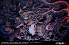 Dragon!! Dragon!!