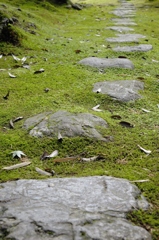 苔の歩み石