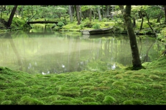 緑の日本庭園