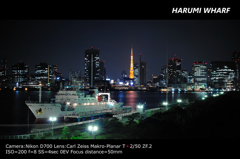 Tokyo Harumi Wharf