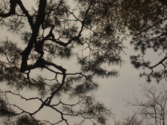 墨