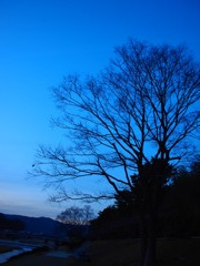 巡　る