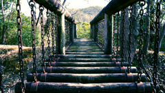The bridge