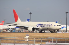 JAL　ワンワールド